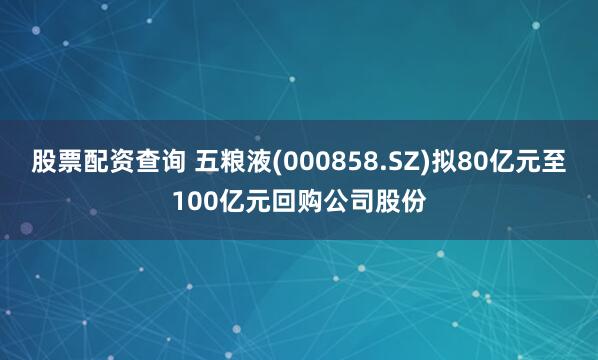 股票配资查询 五粮液(000858.SZ)拟80亿元至100亿元回购公司股份
