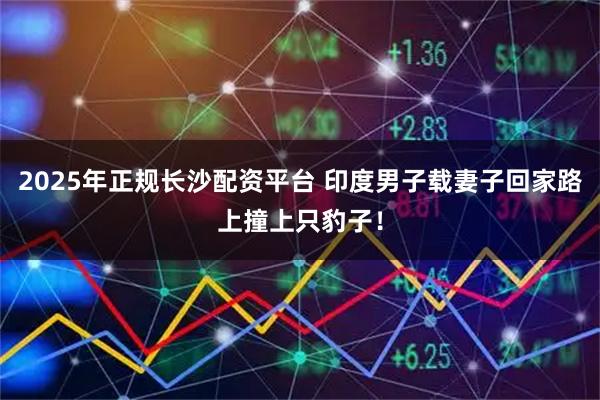 2025年正规长沙配资平台 印度男子载妻子回家路上撞上只豹子！